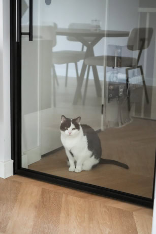 Pet steel doors